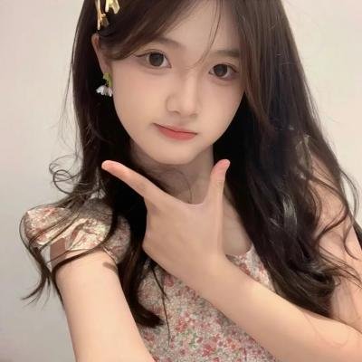 钢之炼金术师：叹息之丘的圣星