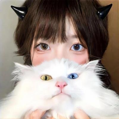 超级无敌掌门狗：面包与死亡事件